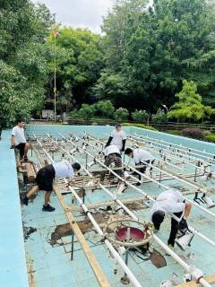 Green Camp 6